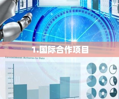 1.国际合作项目