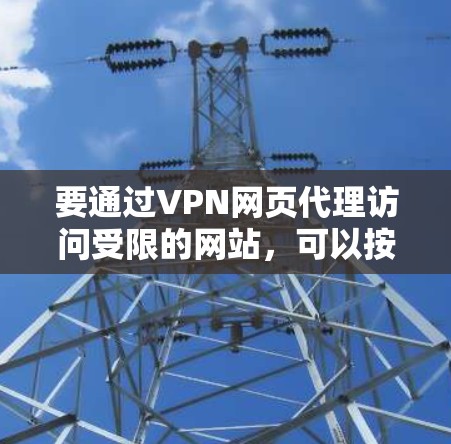 要通过VPN网页代理访问受限的网站，可以按照以下步骤操作