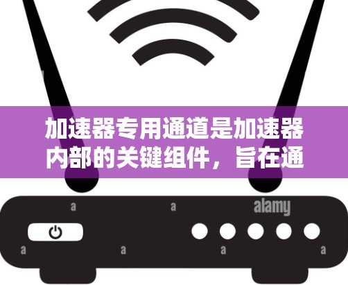 加速器专用通道是加速器内部的关键组件,旨在通过磁场和电场的协同作用,使电子快速、稳定地沿特定轨迹加速,从而提高加速效率和粒子的最大能量。以下是对加速器专用通道的详细分析