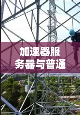 加速器服务器与普通服务器的主要区别在于其设计和功能上的优化，特别是在处理高并发和高性能需求的场景中。以下是详细的比较分析