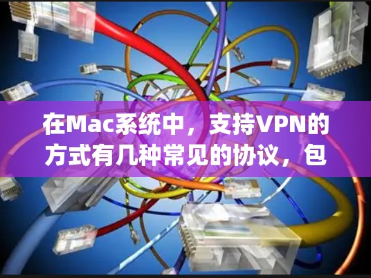 在Mac系统中，支持VPN的方式有几种常见的协议，包括OpenVPN、IPsec、PPTP和L2TP。以下是关于如何在Mac上配置这些VPN协议的详细指南
