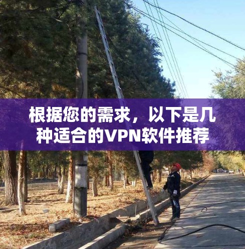 根据您的需求，以下是几种适合的VPN软件推荐