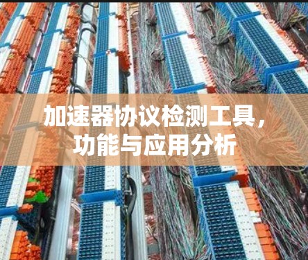 加速器协议检测工具，功能与应用分析