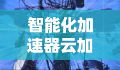 智能化加速器云加速服务，性能与效率的双重提升
