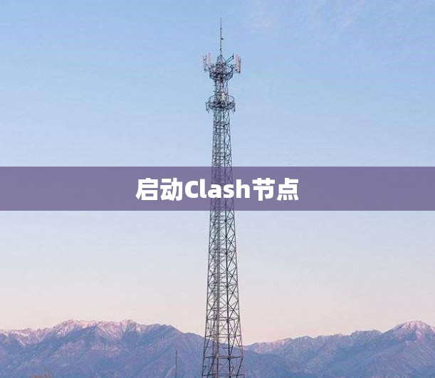 启动Clash节点