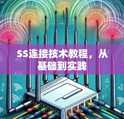 SS连接技术教程,从基础到实践
