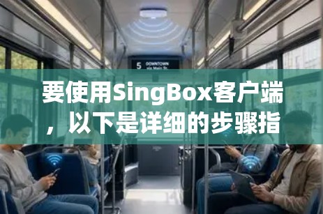 要使用SingBox客户端,以下是详细的步骤指引
