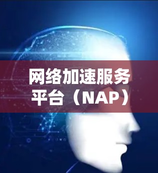 网络加速服务平台(NAP)是一种综合性的网络解决方案,旨在优化网络性能,提升数据传输效率,并确保网络安全。以下是对该平台的详细分析和总结