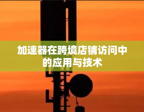 加速器在跨境店铺访问中的应用与技术 加速器在跨境店铺访问中的应用与技术