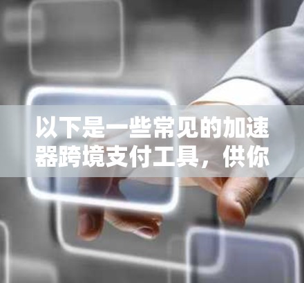以下是一些常见的加速器跨境支付工具,供你参考