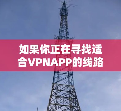 如果你正在寻找适合VPNAPP的线路推荐，以下是一些常见的VPN应用和配置建议，供你参考