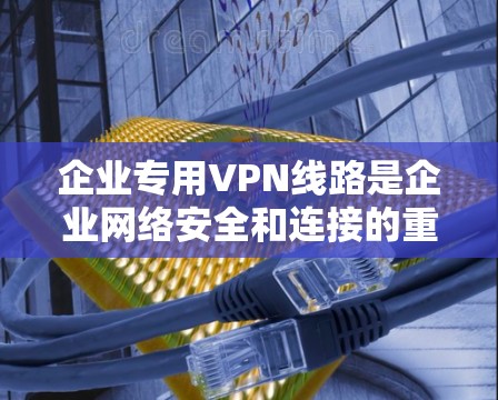 企业专用VPN线路是企业网络安全和连接的重要组成部分，用于在公共互联网上建立安全、专用的网络连接，保护敏感数据并确保合规性。以下是关于企业专用VPN线路的详细分析