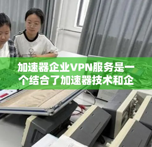 加速器企业VPN服务是一个结合了加速器技术和企业级VPN功能的解决方案,旨在为企业提供高效、安全的网络连接。以下是对加速器企业VPN服务的详细分析和建议