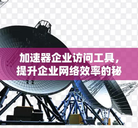 加速器企业访问工具，提升企业网络效率的秘密武器