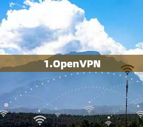 1.OpenVPN