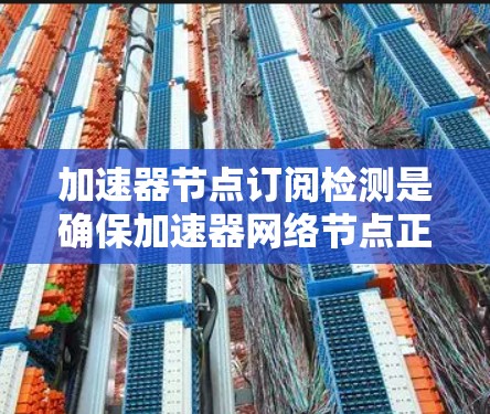 加速器节点订阅检测是确保加速器网络节点正常运行的关键步骤，旨在监控节点之间的订阅状态，预防和处理潜在的故障或性能问题。以下是对这一过程的详细分步解释