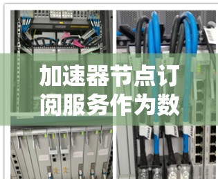 加速器节点订阅服务作为数据传输的重要工具，能够显著提升数据传输效率和用户体验。以下是对加速器节点订阅服务的详细分析和建议