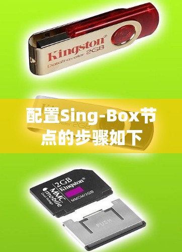 配置Sing-Box节点的步骤如下