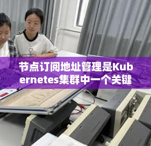 节点订阅地址管理是Kubernetes集群中一个关键的网络组件,负责协调节点之间的网络连接。以下是对该管理过程的详细分步说明