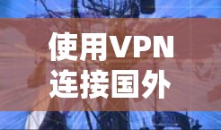 使用VPN连接国外服务器可能会遇到一些常见问题，以下是可能遇到的问题及解决方法