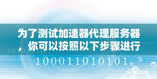为了测试加速器代理服务器，你可以按照以下步骤进行