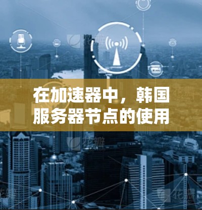 在加速器中，韩国服务器节点的使用情况可以从以下几个方面进行分析