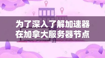 为了深入了解加速器在加拿大服务器节点的作用和相关信息，可以按照以下结构进行分析