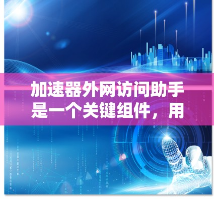 加速器外网访问助手是一个关键组件，用于提升加速器在与外部网络通信时的性能和效率。以下是对该组件的详细分析和总结