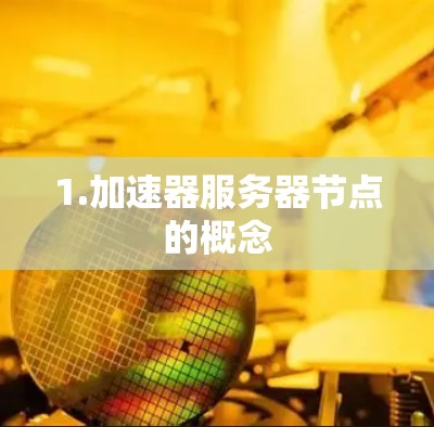 1.加速器服务器节点的概念