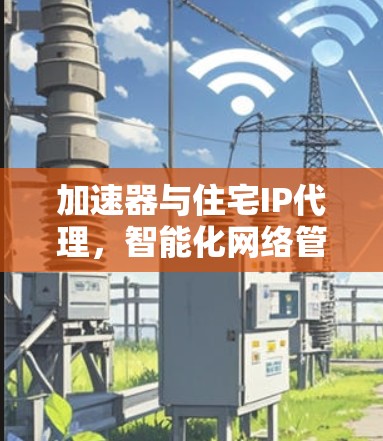 加速器与住宅IP代理，智能化网络管理与性能优化