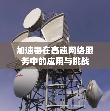 加速器在高速网络服务中的应用与挑战
